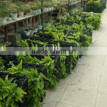 VGM new hot module vertical garden modules living wall indoor and outdoor green wall module                        
                                                                                Supplier's Choice