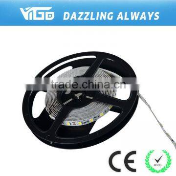 Led Lights China Wholesale 5050 Led Decorative Strip photo-2