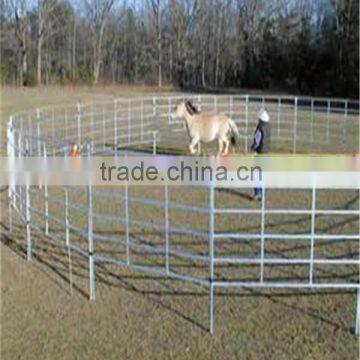 Factory supply high quality farm fence / field fence & cattle fence / horse farm