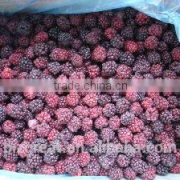 FD Dried Fruits Frozen Dried FD Blackberry WHole Piece for Sale