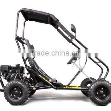 LWGK-50A kids Mini go kart, 196cc power ,Hydraulic disc brake,EPA ,Black Roll cage