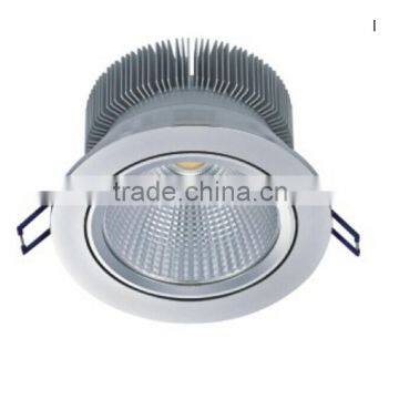 20W COB Adjustable Head LED Downlight