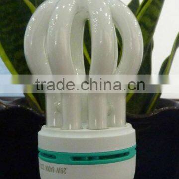 Energy Saving Lamps