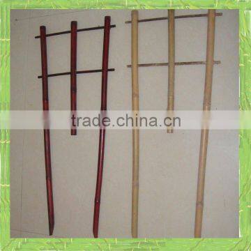 Bamboo ladder