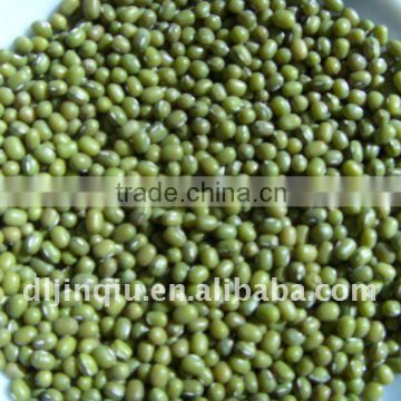 green mung beans