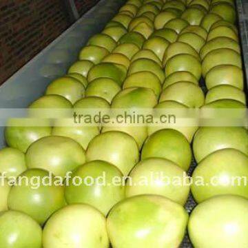 Supply China fresh pomelo fruit