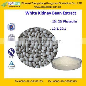 GMP Manufacturer Supply 100% Natural White Kidney Bean Extract