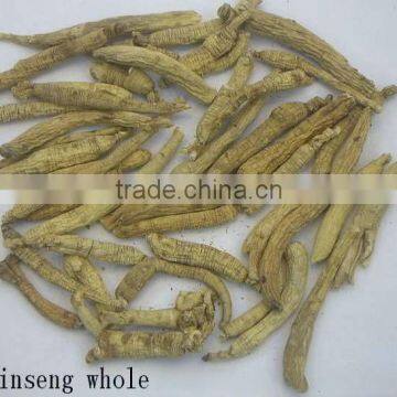 Natural cordyceps sinensis