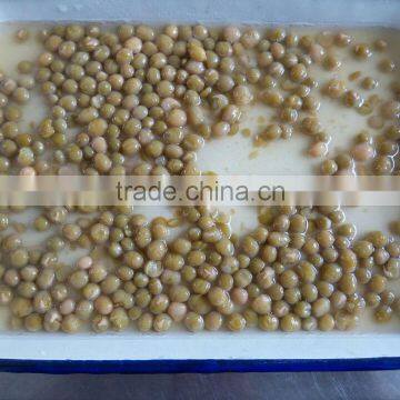 400g Canned Fava Beans Manufacturer in China photo-2