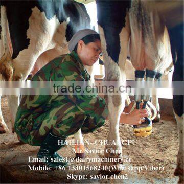 Pipeline Milking Parlour , Milking Parlor For Small Farm
