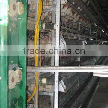 New Design Automatoc Quail Cage