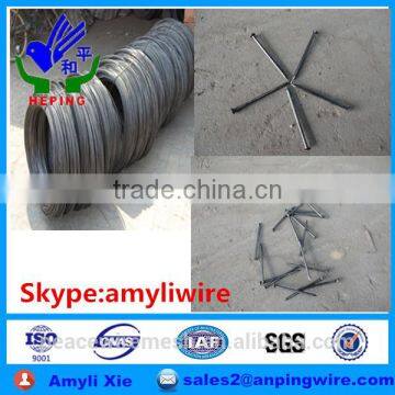 raw material of wire nail polished common iron nail / common wire nail