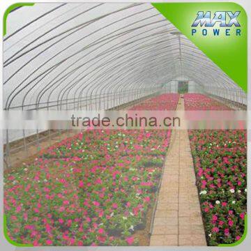 Plastic Greenhouse Tent