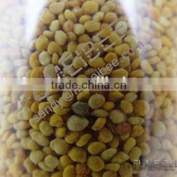 China Factory 100% organic pure tea pollen