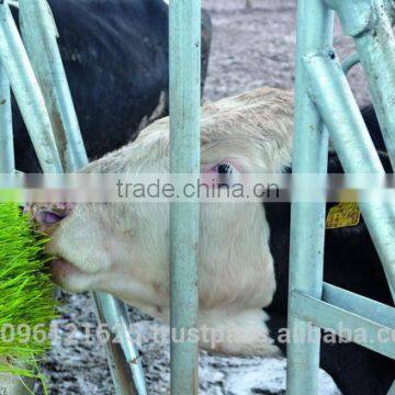 StarMax Hydroponic Fodder System / Hydroponic Fodder Tray / Cattle Green Fodder Growing Machine