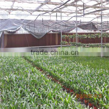 Green Houses for Agriculture photo-4