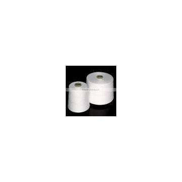 Indian contamination controlled cotton Ne 3/10 yarn twine
