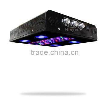 High Optical Quantum Density Led Grow Light Hydroponic