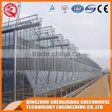 Multi-span agriculture glass greenhouses control systems for sale