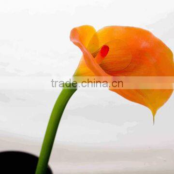 SJ300927 High Quality PU Common Callas Flowers for Indoor Deforative photo-4