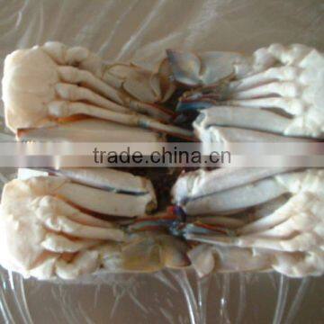 best quality seafood and live frozen blue crab