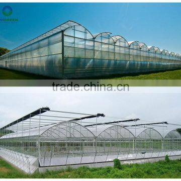 2017 Hot sale agricultural multi span polycarbonate greenhouse