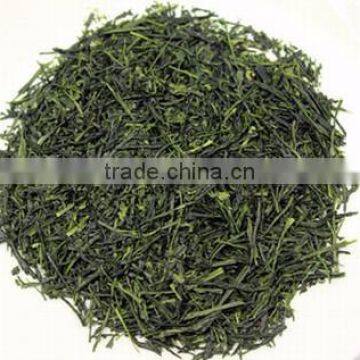 Japanese Caffeine Green Tea Powder Produced in Fukuoka Japan photo-5
