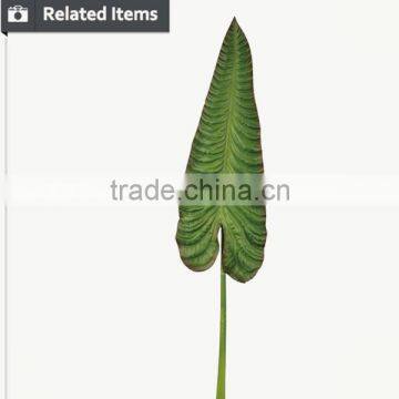 Decorative Artificial Plants Large Holland Fairy Taro Leave Artificial Leaves photo-6