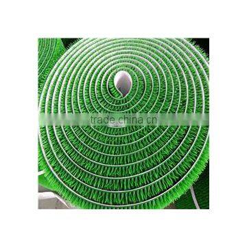 Great Services Gold- Rush Grass With 100% Quality photo-2