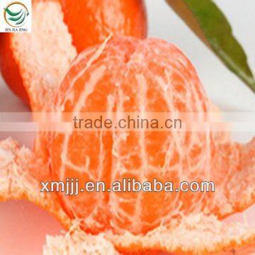 Ponkan/mandarin Orange for New Year photo-4