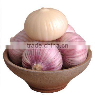 China Garlic Price for Wholesale Buyer photo-2