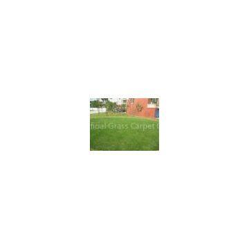 11600Dtex Carpet Artificial Grass 35mm, Gauge 3/8 Landscaping Artificial Turf for Outdoor