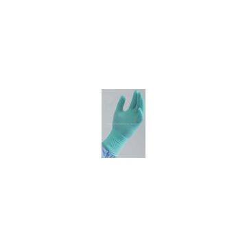 Aloe Vero Vinyl Glove