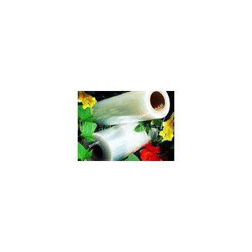 Anti Wrinkle Transparent BOPP Lamination Film With Balanced Shrinkage