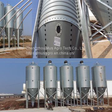 High quality automatic pig farm design floor feeding system equipment