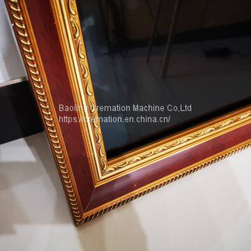 Chaples Use Screen Digital Portrait photo-4