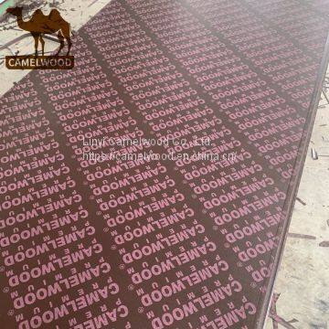 18mm Film faced plywood with high quality