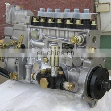 Longbeng Fuel Injection Pump BH6P110 (5854) for SHAGCHAI CAT6121