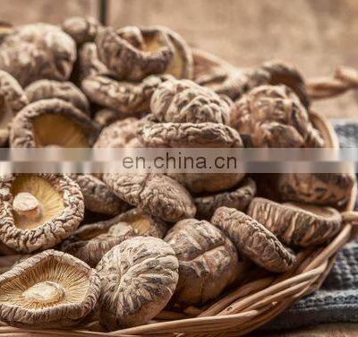 Organic Dried Shiitake Mushroom for Cooking/High Quality Flower Mushroom/Best Prices Dried Shiitake Mushroom From Vietnam photo-5