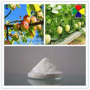 Plant Growth Regulator Da6 Diethyl Amimoethyl Hexanote Da-6 98%tc Powder photo-2