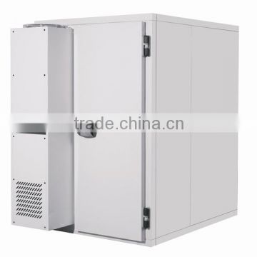 China fish air blast freezer with condensing unit