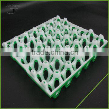 Plastic Molded Egg Trays for sales