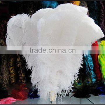 wholesale White Ostrich Feather,65-70cm colours ostrich plumes