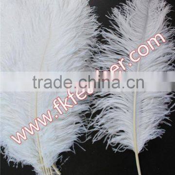 Natural Craft Feather Big White Ostrich Feather For Wedding And Party Decoration 60cm-65cm