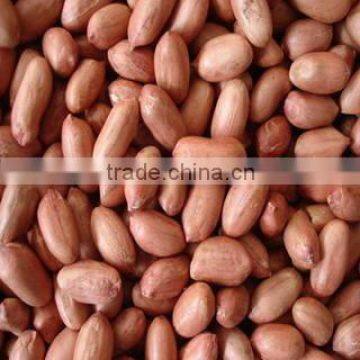 roasted peanuts with red skin