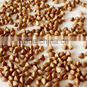 Brown Color and Dried Style Roasted Buckwheat groats