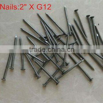 Electro Galvanized Common Wire Nail/common Iron Wire Nails/bright Common Nails Factory photo-3