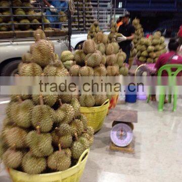 Durian photo-6