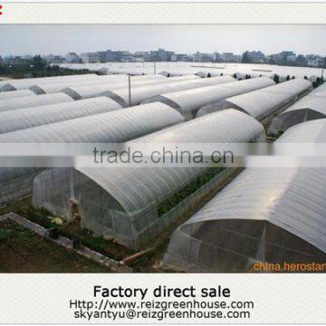 15 years warranty hot galvanized pipe China cheap film agriculture single span tunnel greenhouse                        
                                                Quality Choice