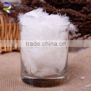 wholesale hotel high quality down feather white duck feather